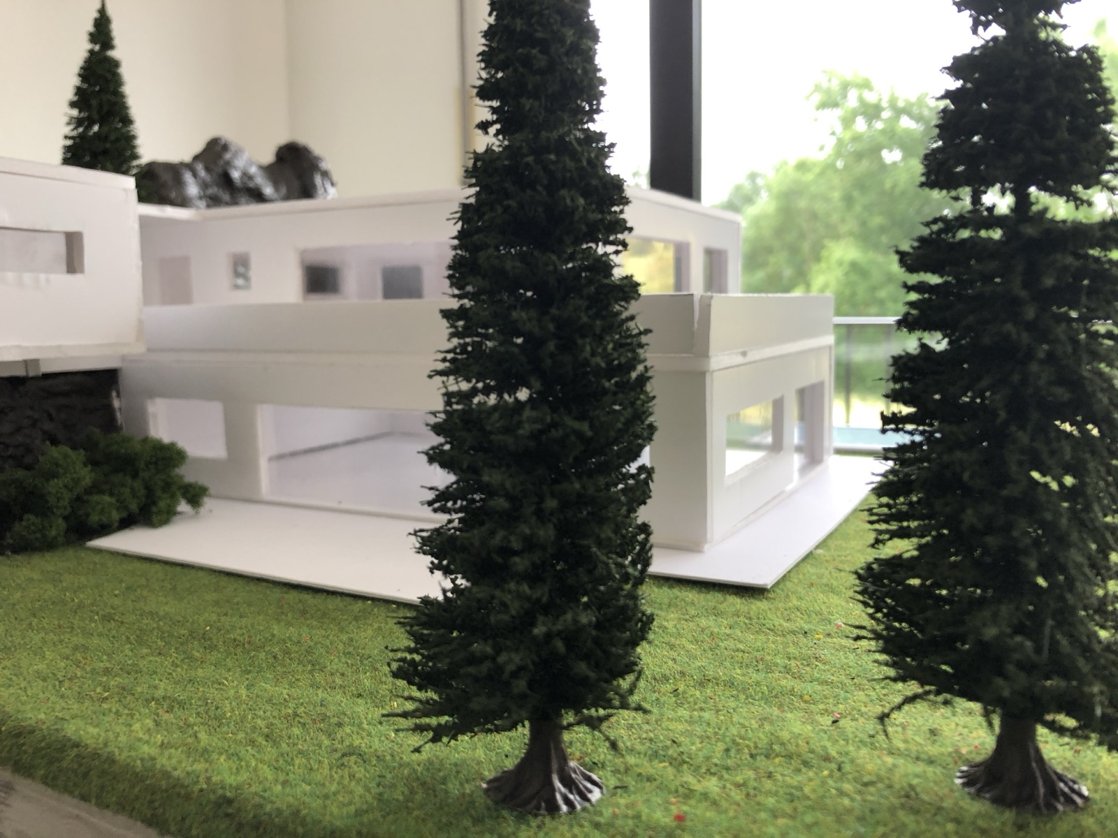 Entre les sapins