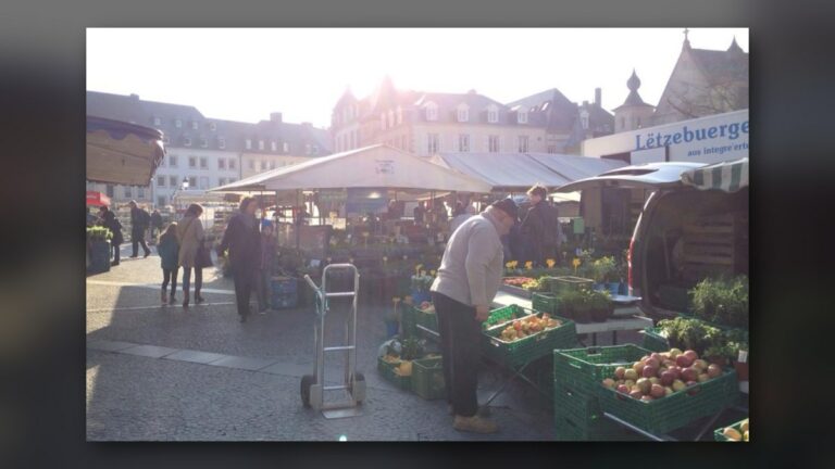 The early bird (marché du Knuedler)