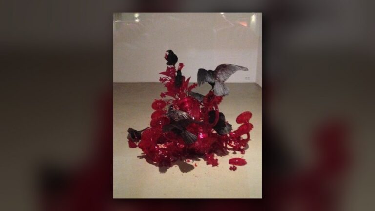 Starving birds