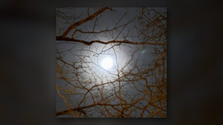 Pleine lune