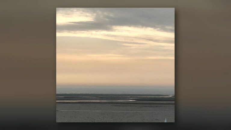 Marée basse