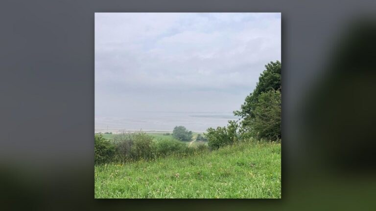L'estuaire dans la brume
