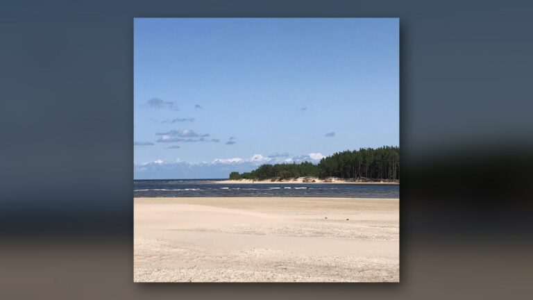 La plage et l'embouchure