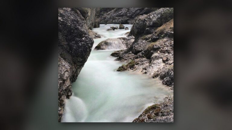 Le torrent