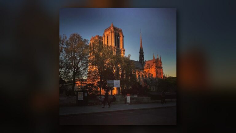 Notre-Dame de Paris, avant l'incendie (2016-2017)