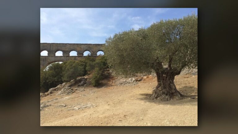 Le pont du Gard et la Maison carrée (septembre 2016)